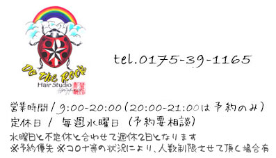 てんとう虫日記 | 理美容　DO　THE　ROCK（ドゥーザロック） |むつ市 理容室　美容室　メンズカット 子連れ レディースシェービンング